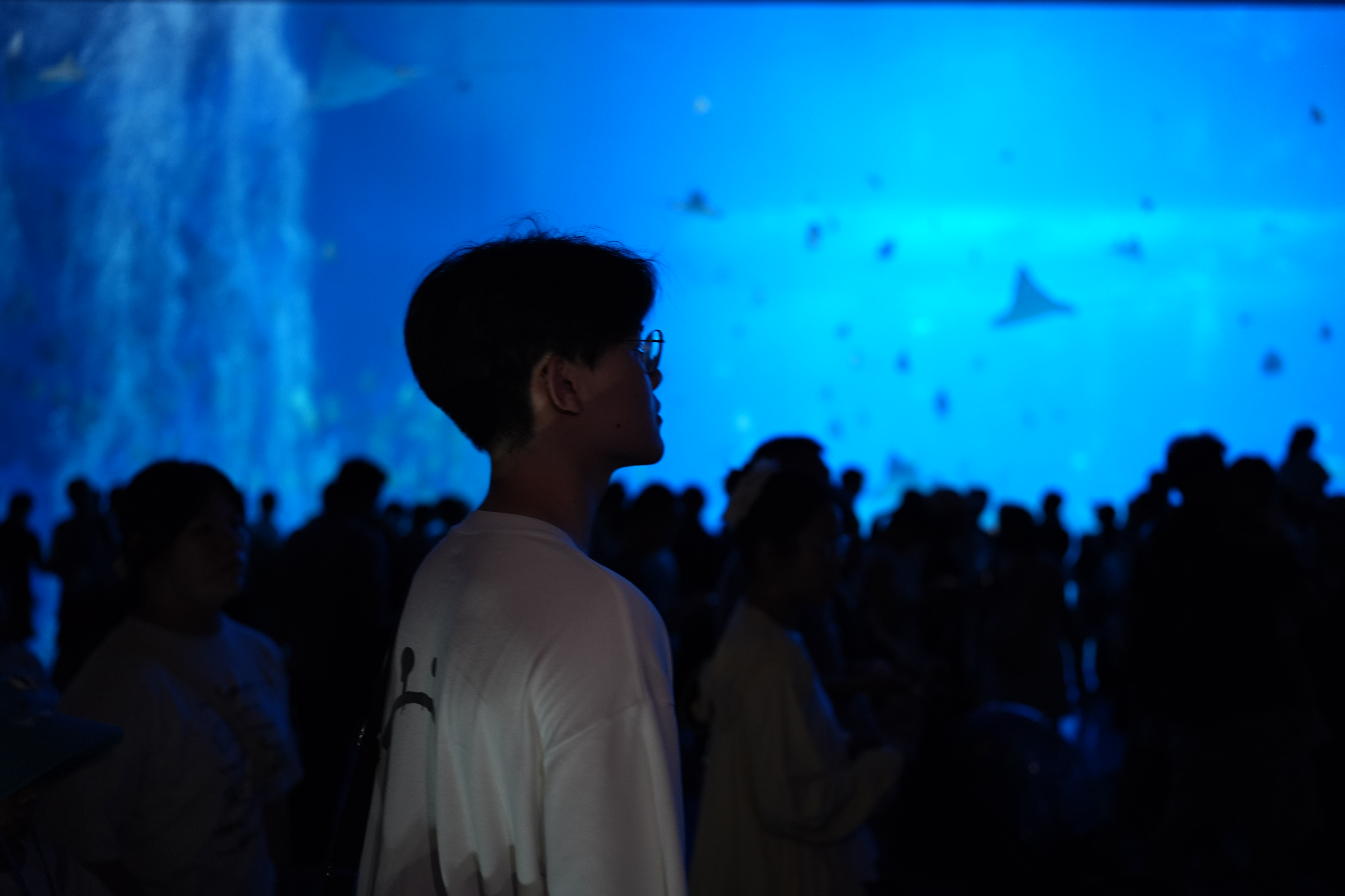 A photo of Thanisorn J.